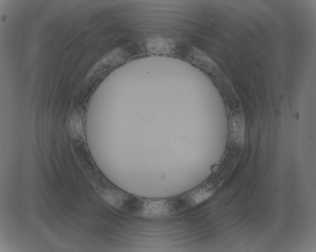 X0000081280705200702012219