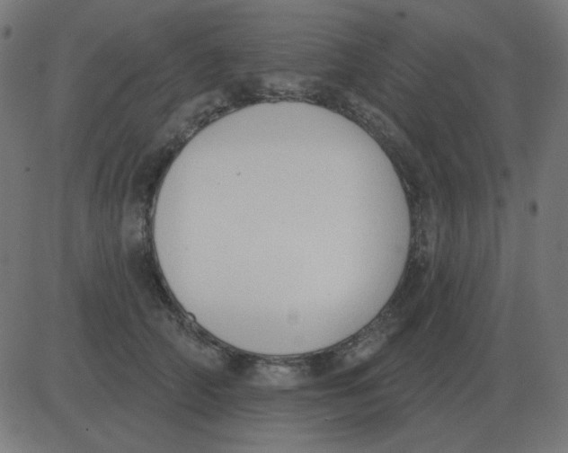 X0000081280706200702012219