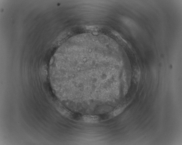 X0000081280707200702012219