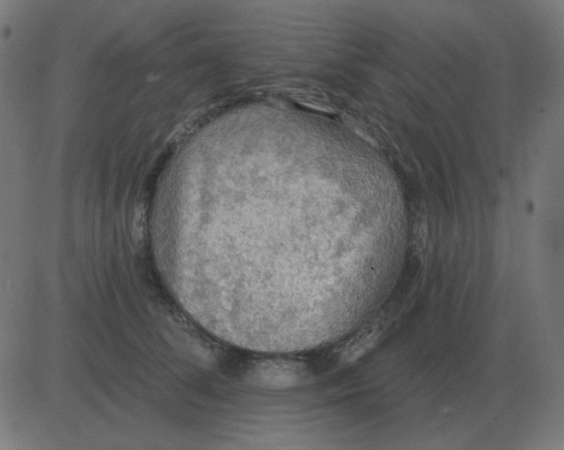 X0000081280708200702012219