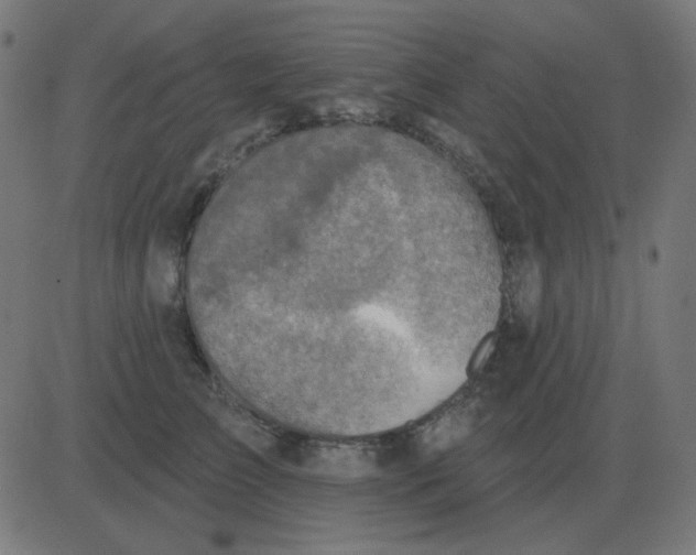 X0000081280709200702012219