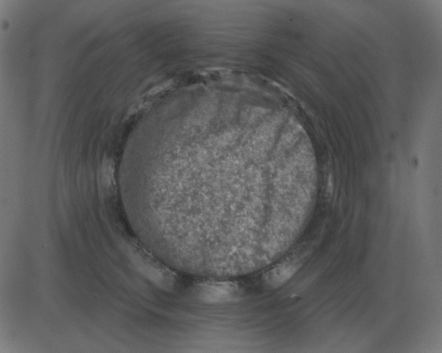 X0000081280711200702012219