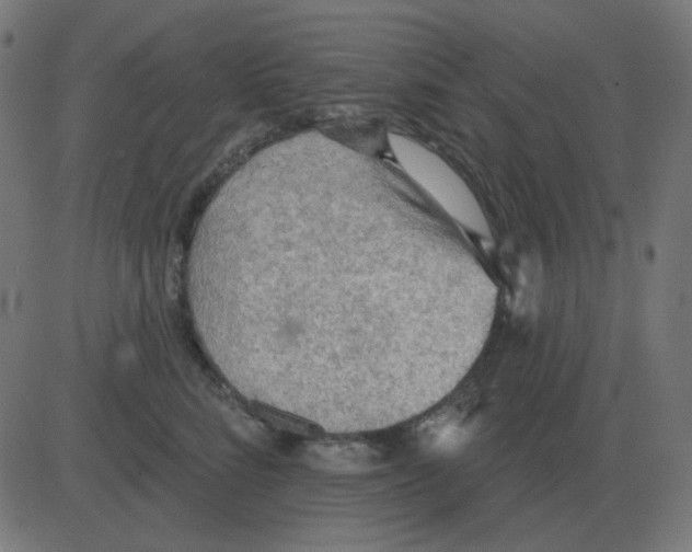 X0000081280712200702012219