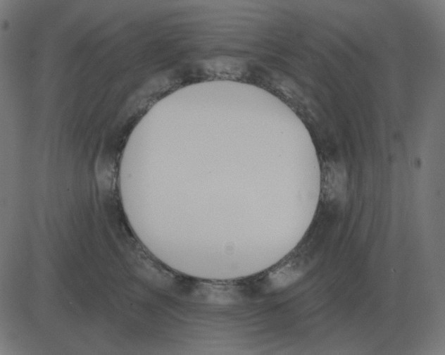 X0000081280713200702012219