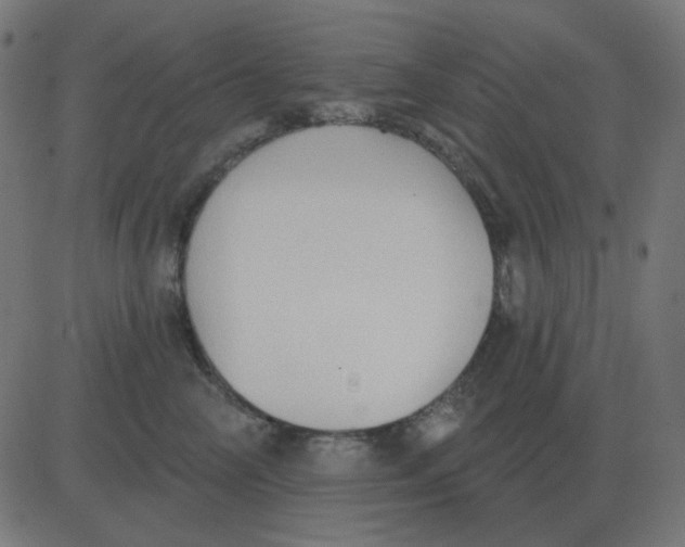 X0000081280714200702012219