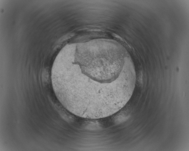 X0000081280715200702012219