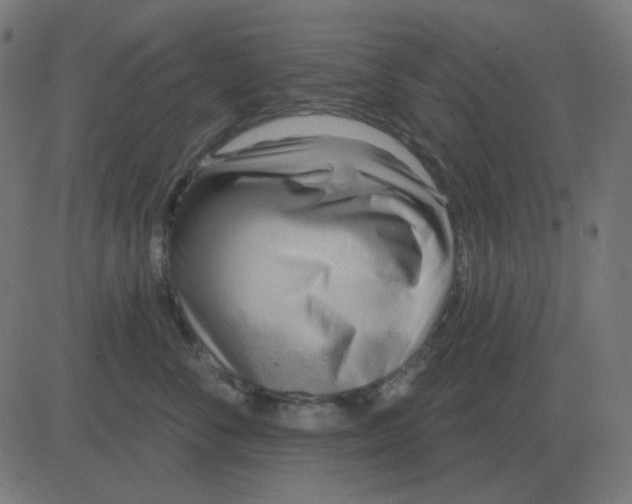 X0000081280716200702012219