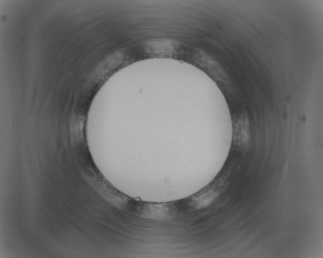 X0000081280717200702012219