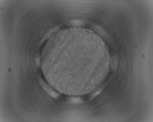 X0000081280718200702012218