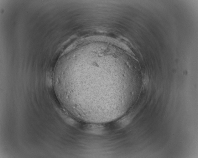 X0000081280719200702012218