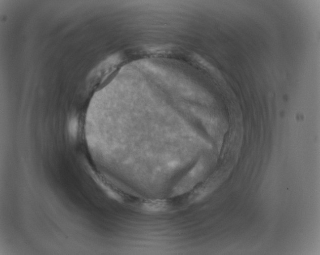 X0000081280720200702012218