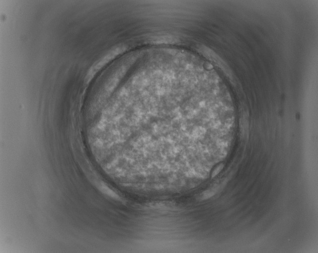 X0000081280721200702012218