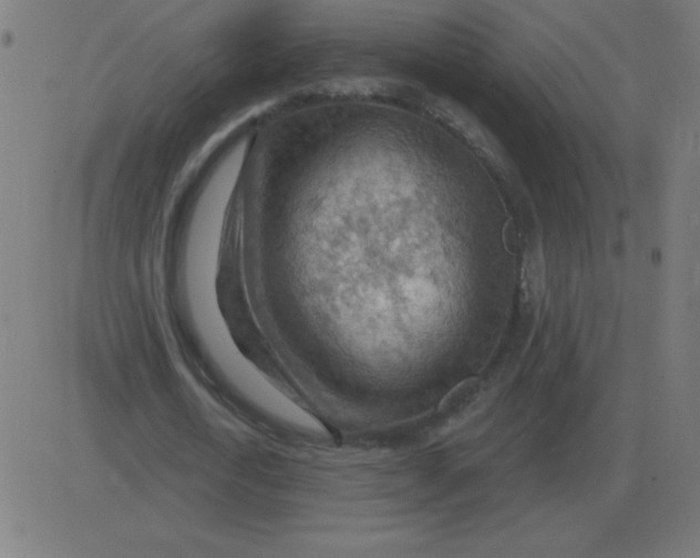 X0000081280722200702012218