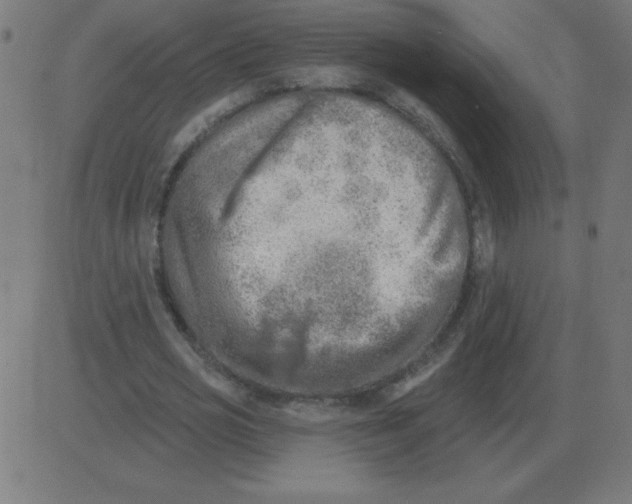 X0000081280725200702012218