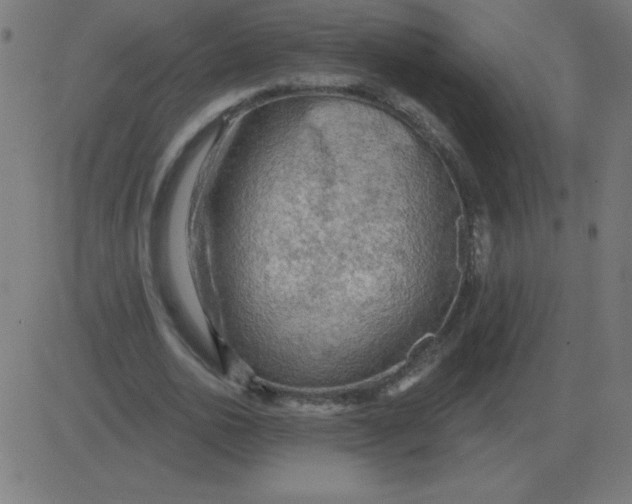 X0000081280726200702012218