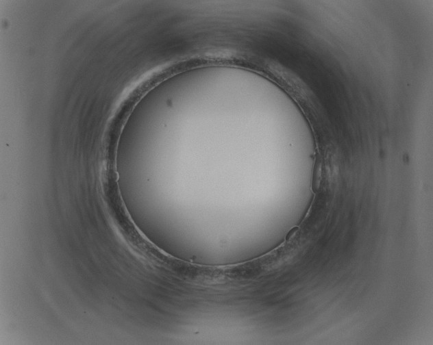 X0000081280728200702012218