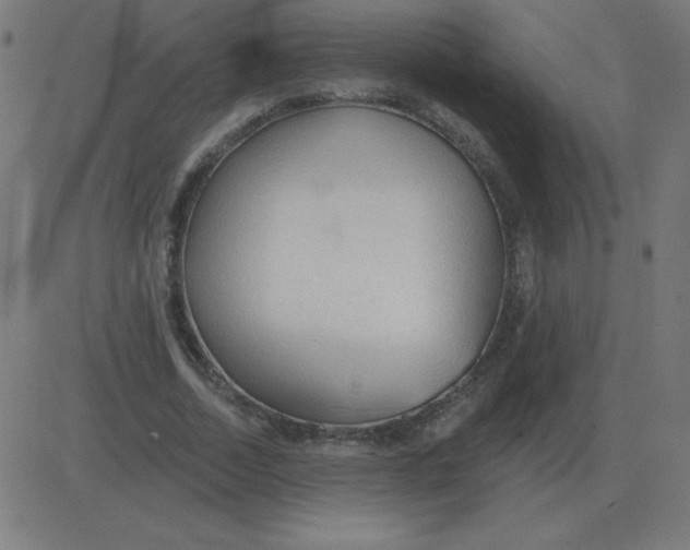 X0000081280730200702012218