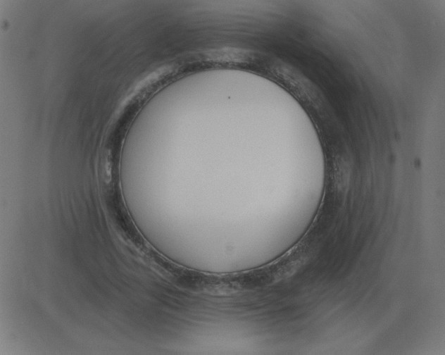 X0000081280731200702012218