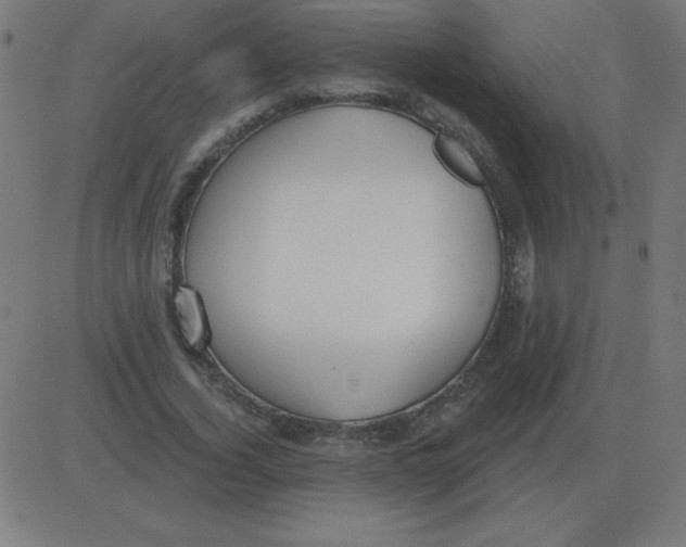 X0000081280732200702012218