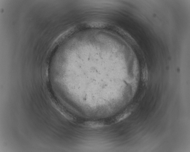 X0000081280733200702012218