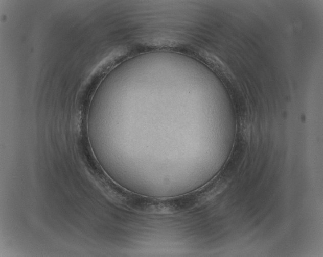 X0000081280735200702012218