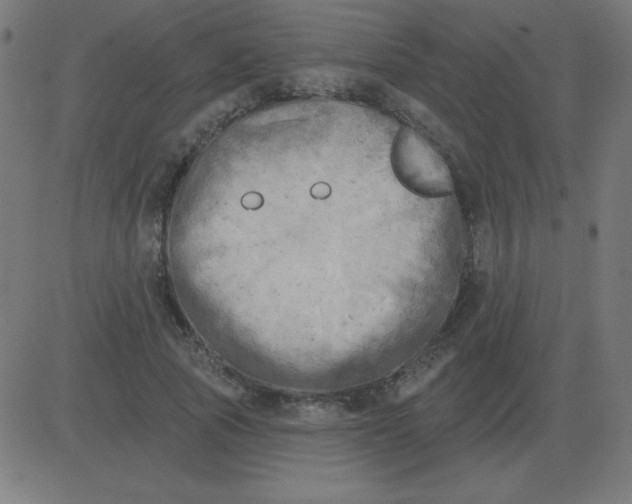 X0000081280737200702012218