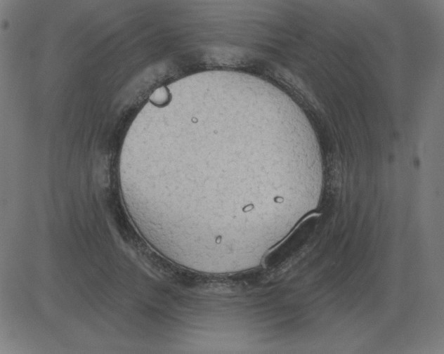 X0000081280738200702012218