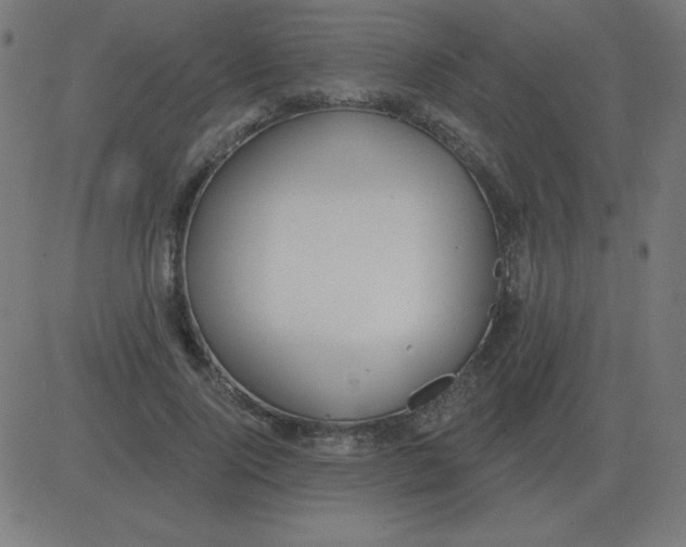 X0000081280740200702012218