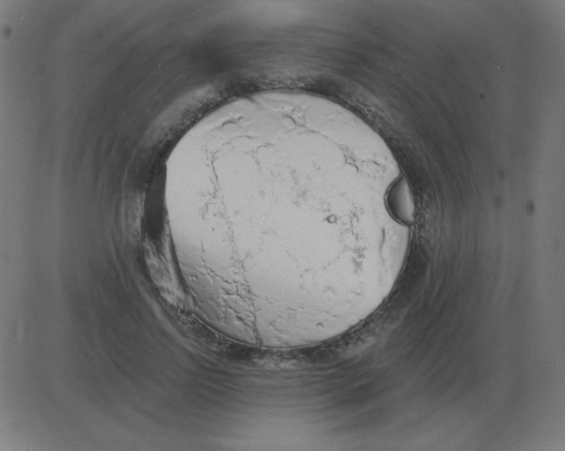 X0000081280742200702012218