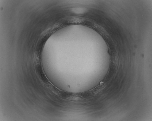 X0000081280743200702012218