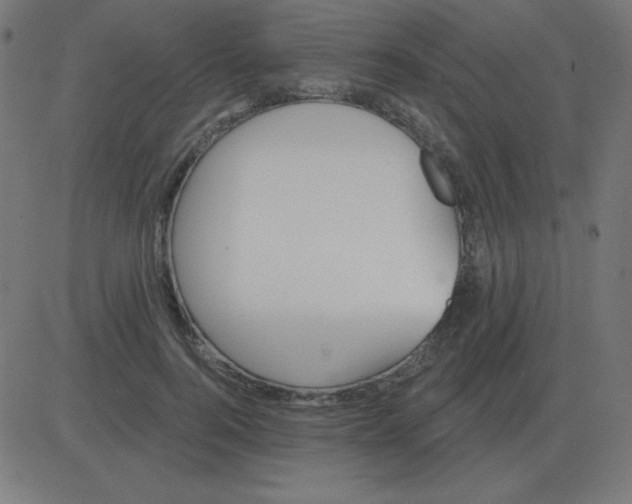 X0000081280744200702012218