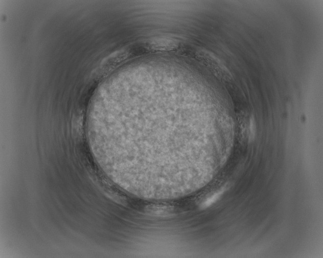 X0000081280745200702012218