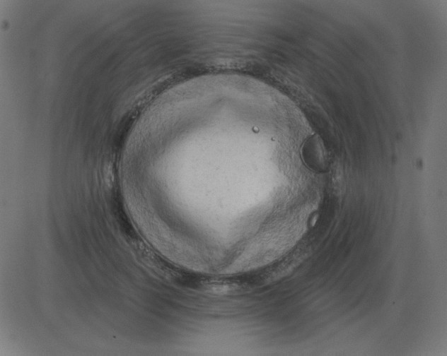 X0000081280746200702012218