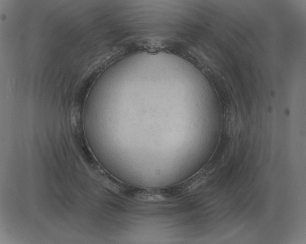 X0000081280747200702012218