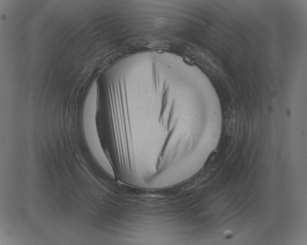 X0000081280748200702012218