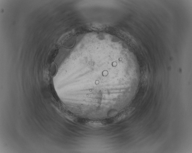 X0000081280749200702012218