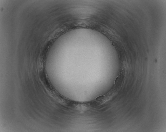 X0000081280751200702012218