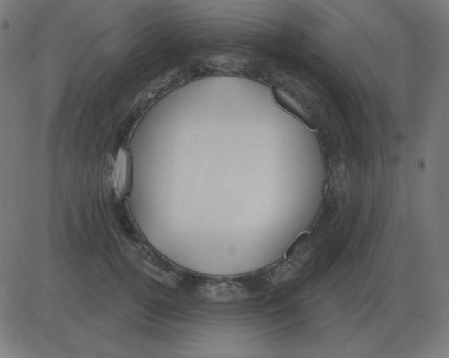 X0000081280752200702012218