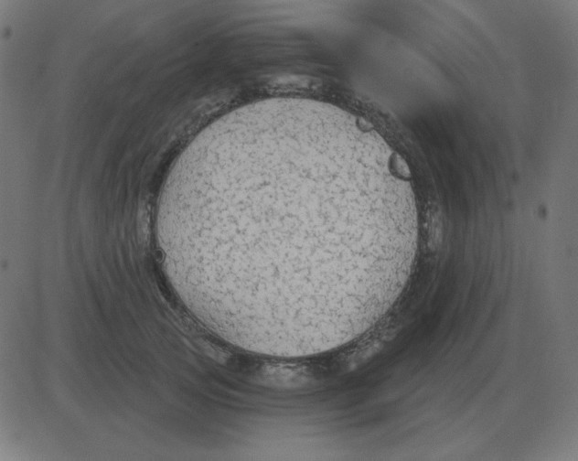 X0000081280753200702012218