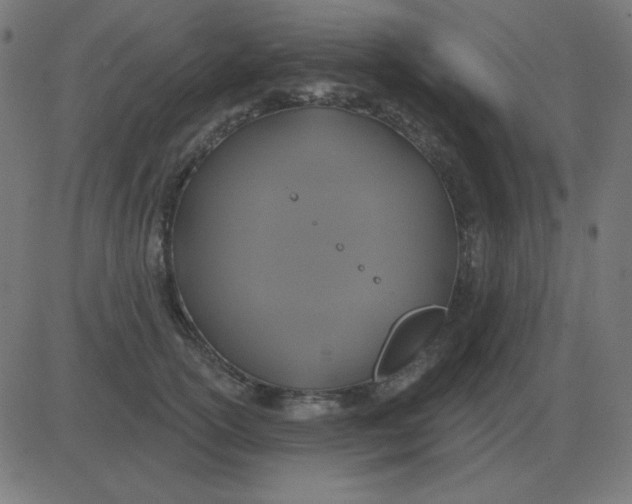 X0000081280754200702012218