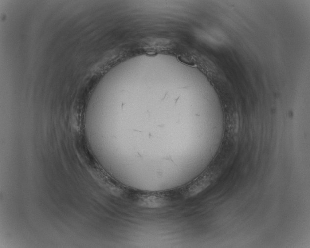 X0000081280755200702012218