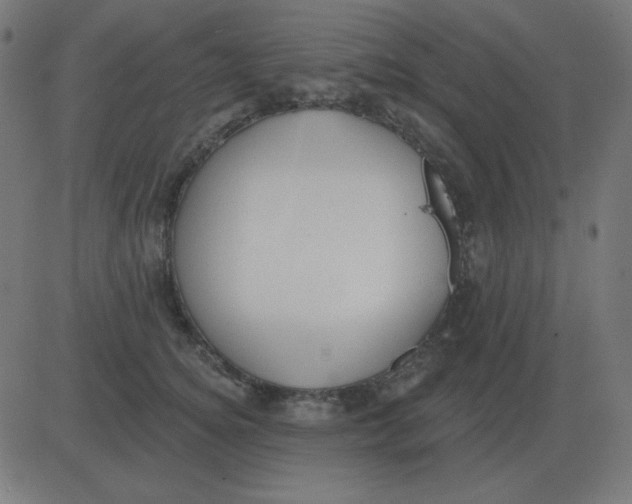 X0000081280756200702012218