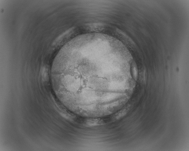 X0000081280757200702012218