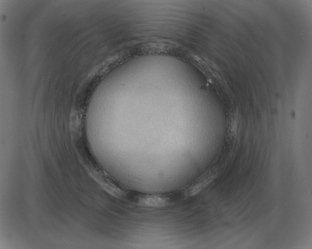 X0000081280759200702012218