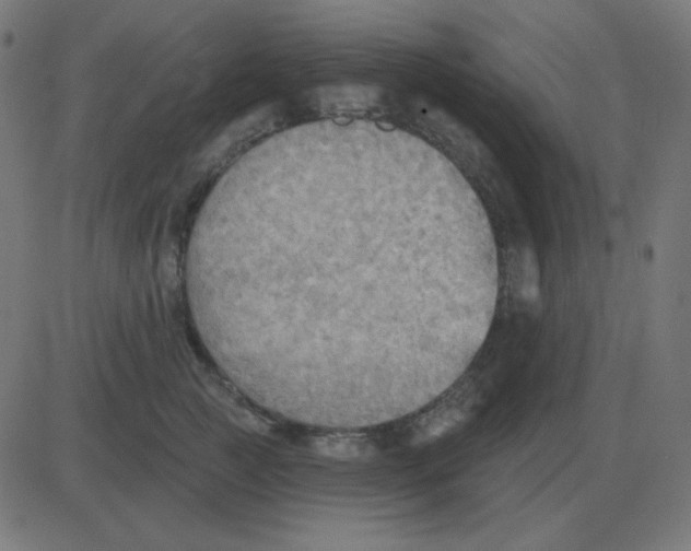 X0000081280761200702012218