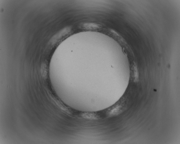 X0000081280762200702012218