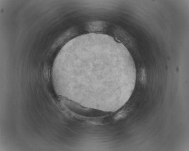 X0000081280763200702012218