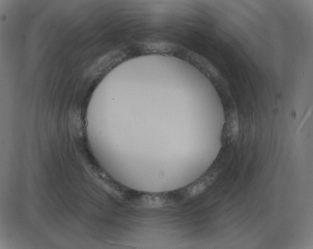 X0000081280764200702012218