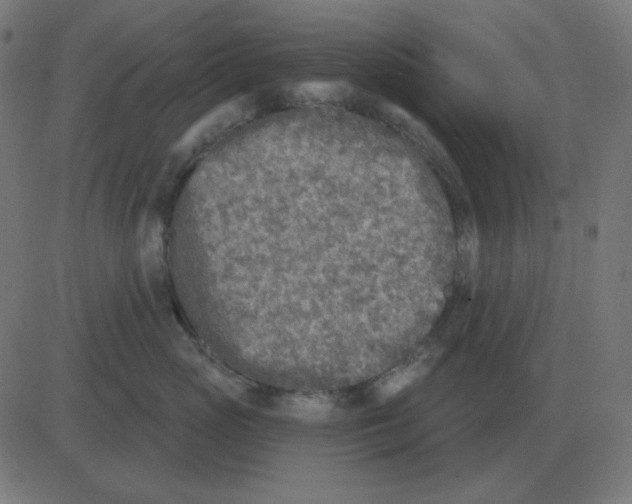 X0000081280765200702012218