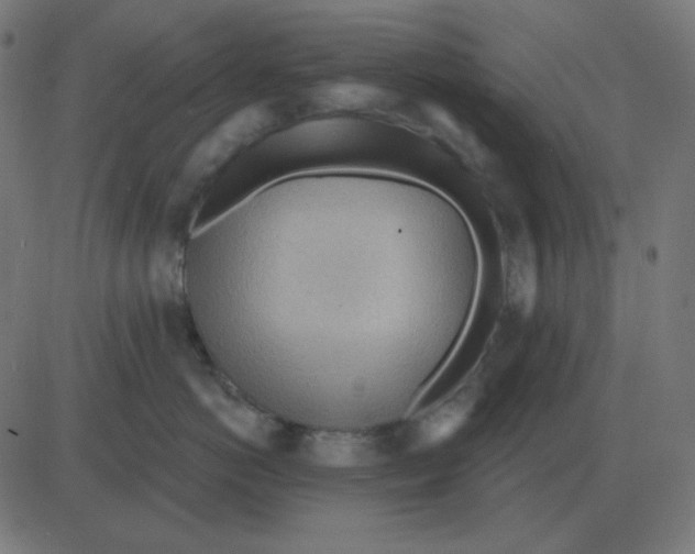 X0000081280766200702012218